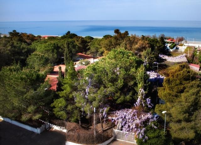 Villaggio La Pantera Rosa Scalea Exterior foto